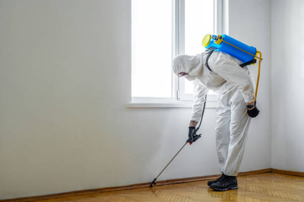 Best Insect Control  in Marlton, MD