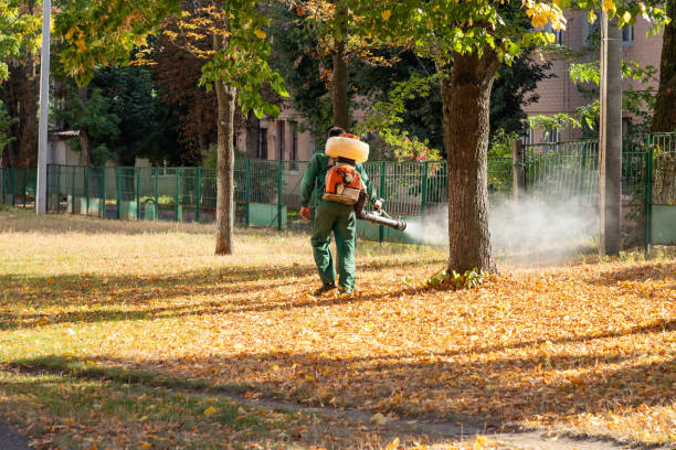 Best Bed Bug Extermination  in Marlton, MD