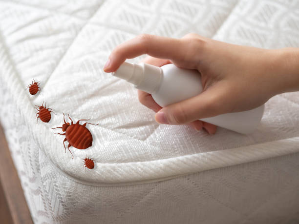Professional Pest Control in Marlton, MD