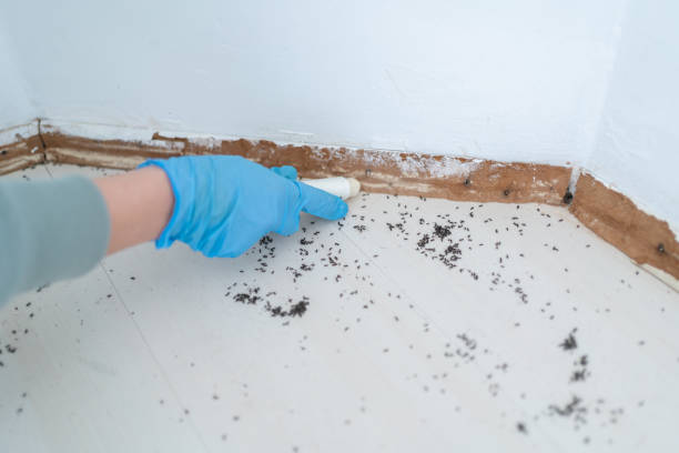 Best Mosquito Control Services  in Marlton, MD